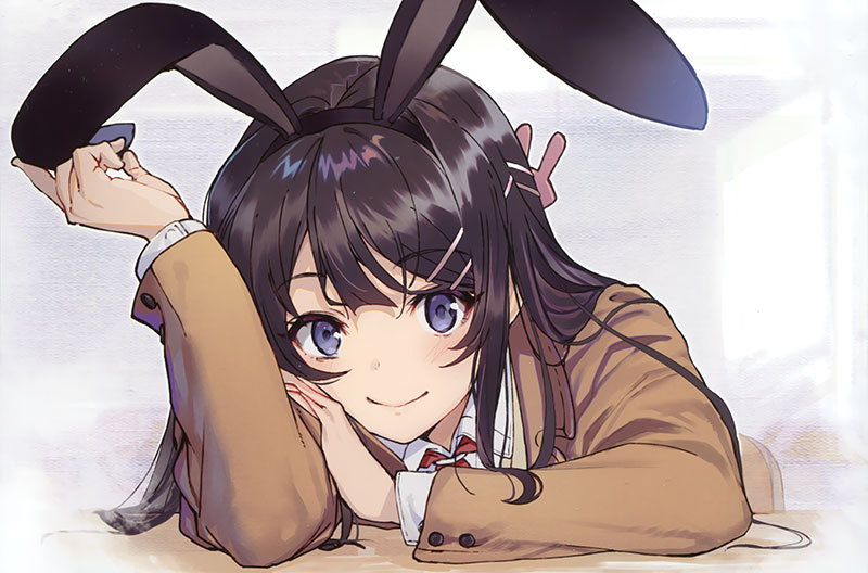 دانلود سریال Rascal Does Not Dream of Bunny Girl Senpai ( راسکال خواب دختر خرگوشی سنپای را نمی‌بیند ) با زیرنویس فارسی چسبیده