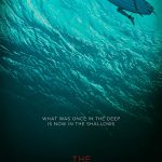 دانلود فیلم The Shallows 2016 ( آبهای کم عمق ۲۰۱۶ ) با زیرنویس فارسی چسبیده