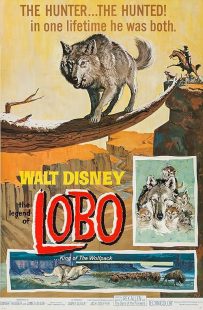 دانلود فیلم The Legend of Lobo 1962