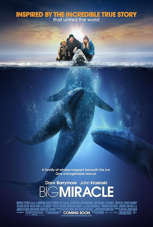 دانلود فیلم Big Miracle 2012 ( معجزه بزرگ ۲۰۱۲ ) با زیرنویس فارسی چسبیده